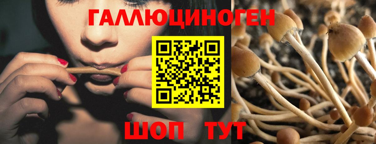 купить наркотик  Галлюциногенные грибы ЛСД  Вход с VPN  Тихорецк 
